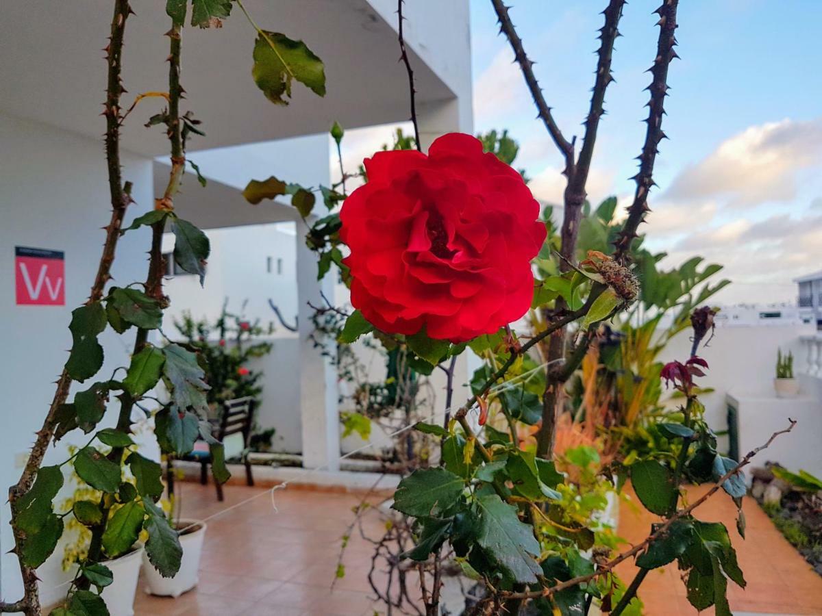 Chelada 2 Holiday home *